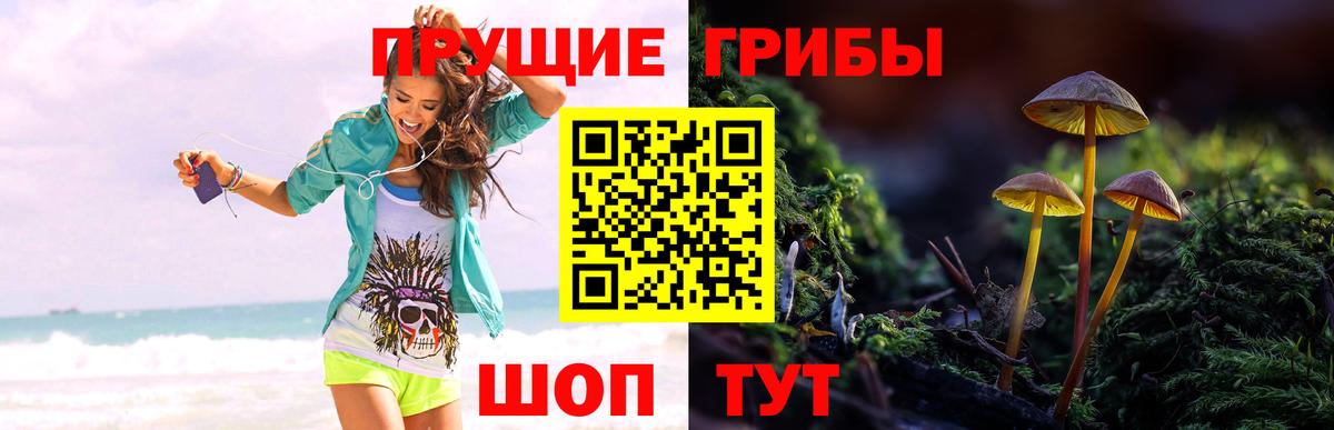 Псилоцибиновые грибы MAGIC MUSHROOMS Якутск